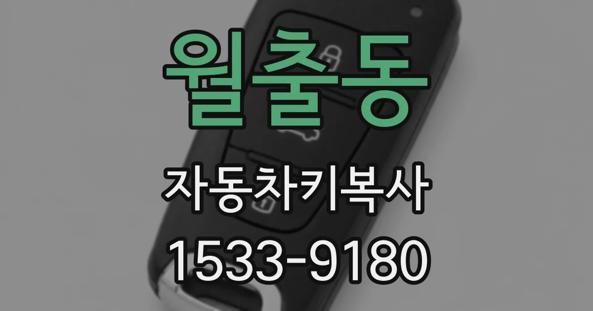 월출동 자동차키복사