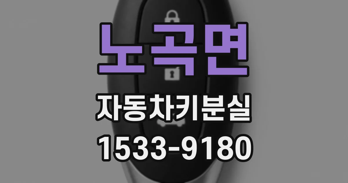 노곡면 자동차키분실