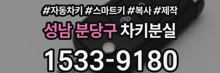 성남 분당구 차키분실