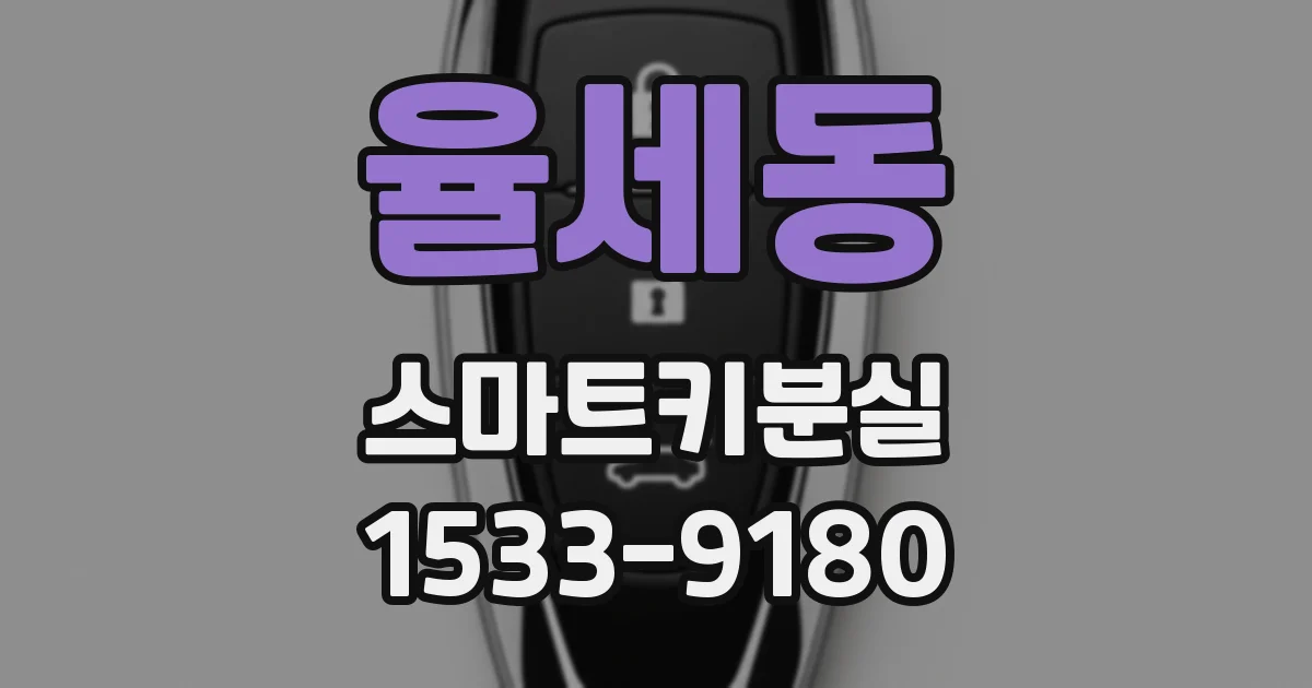 율세동 스마트키분실