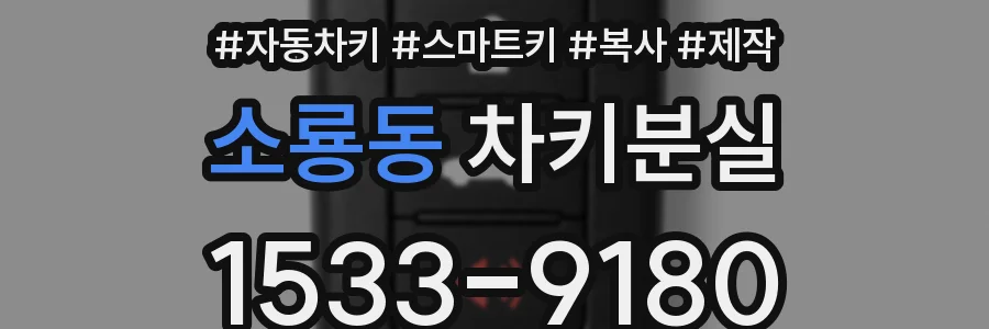 소룡동 차키분실