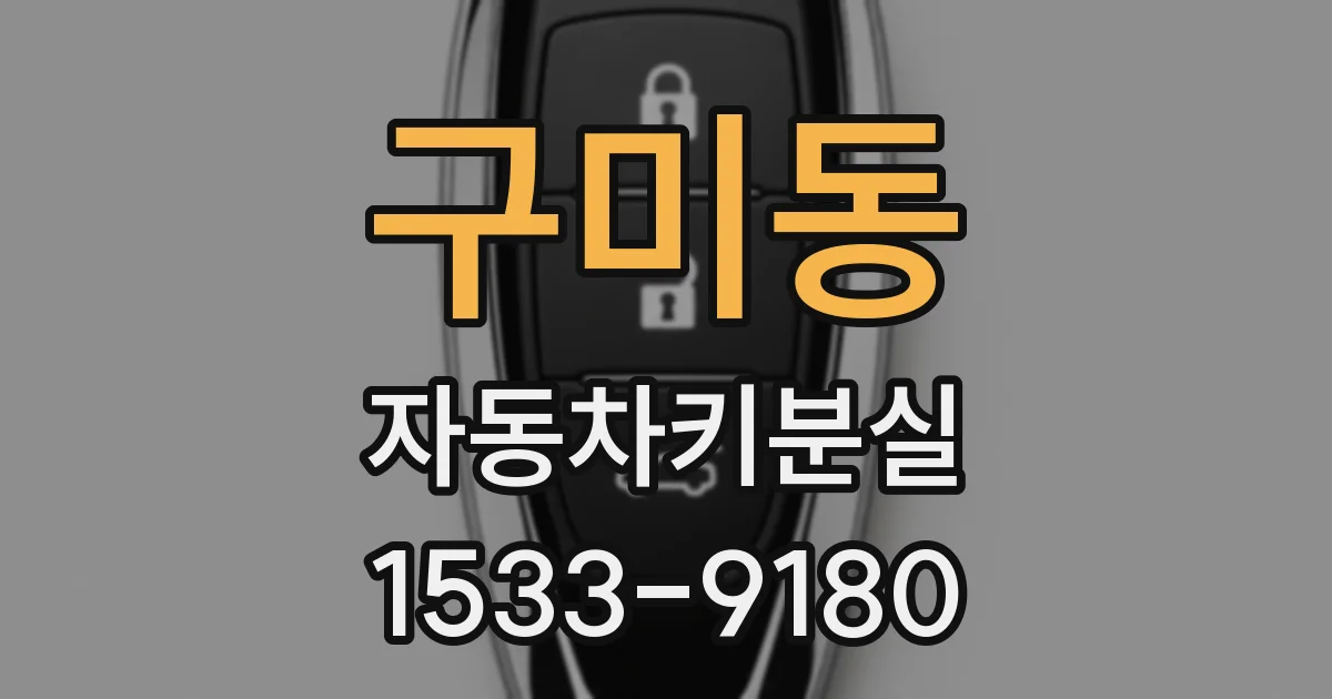 구미동 자동차키분실