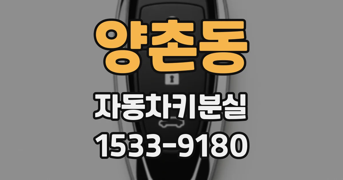 양촌동 자동차키분실