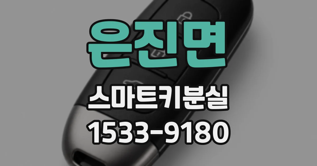 은진면 스마트키분실