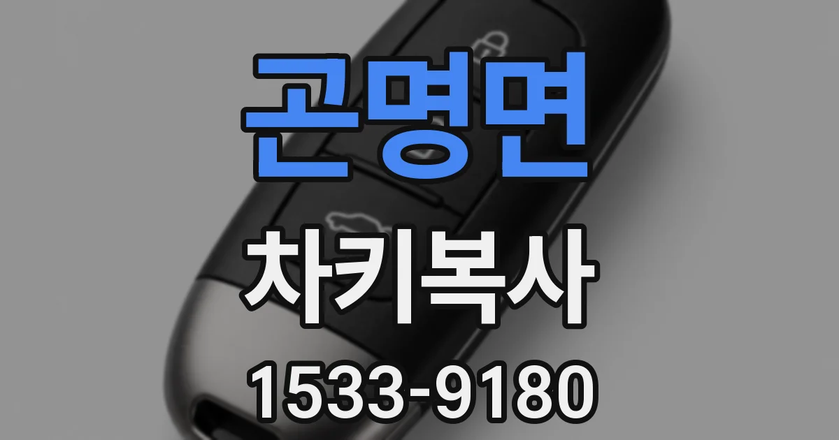 곤명면 차키복사