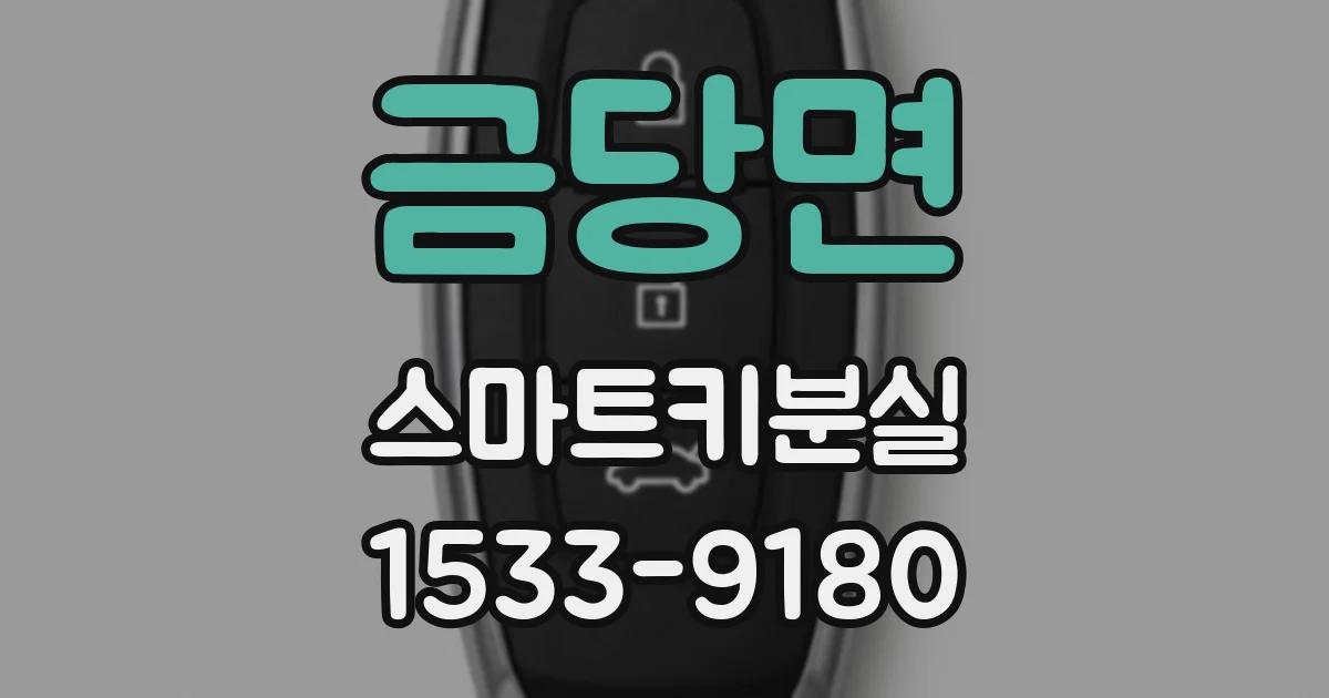 금당면 스마트키분실