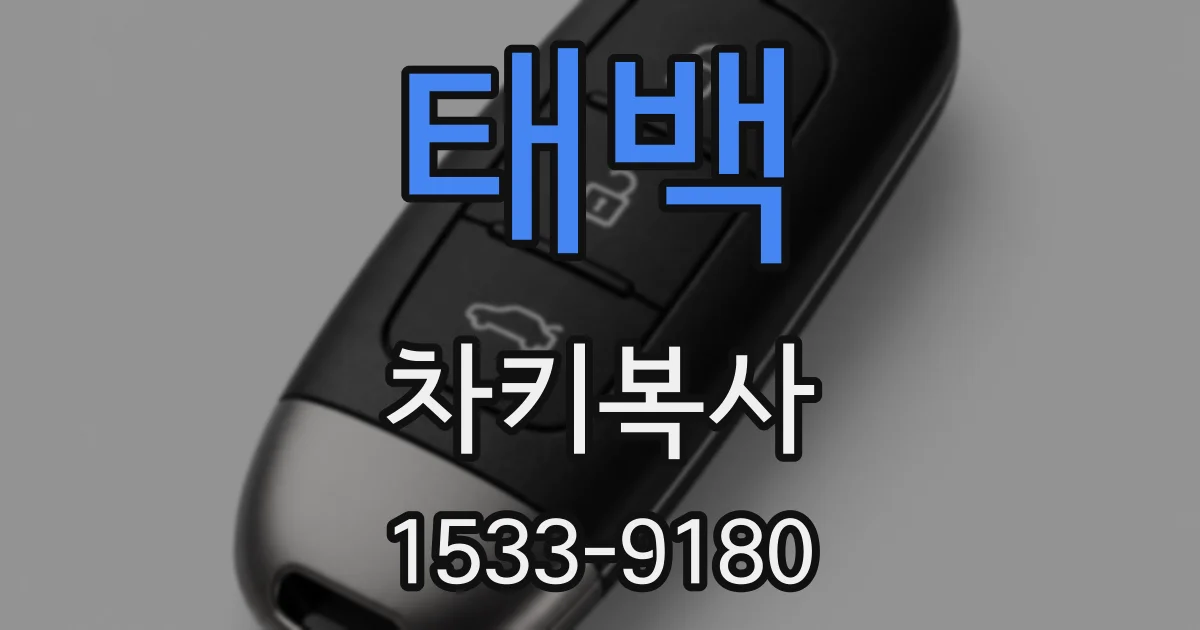 태백 차키복사