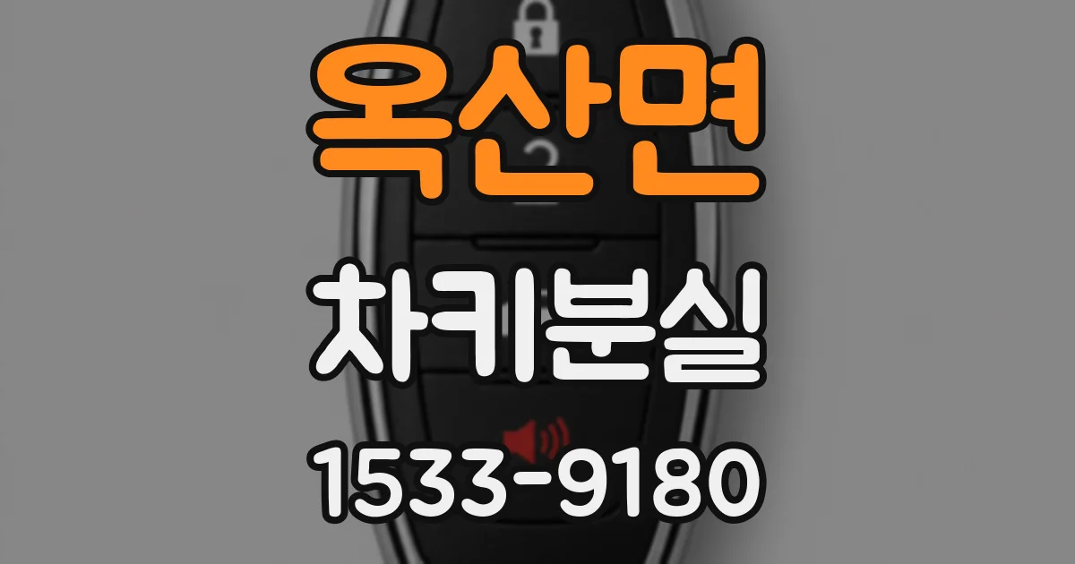 옥산면 차키분실