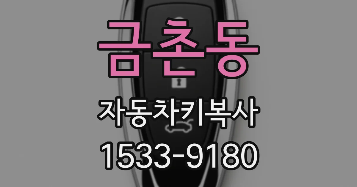 금촌동 자동차키복사