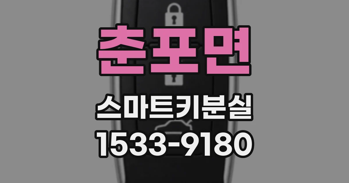 춘포면 스마트키분실