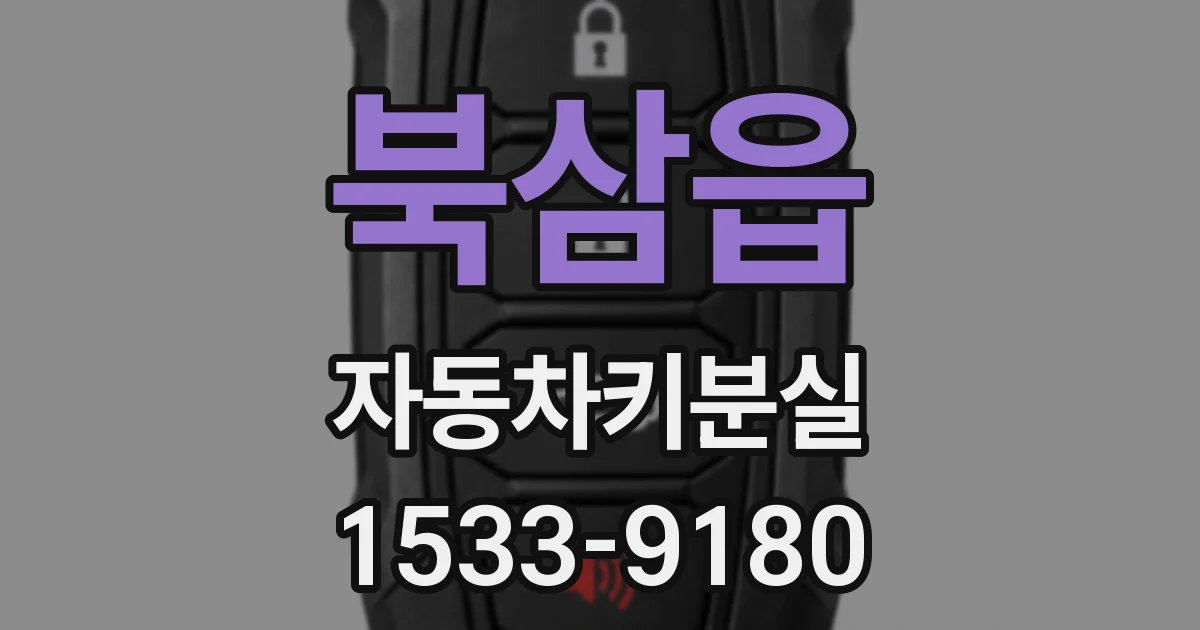북삼읍 자동차키분실