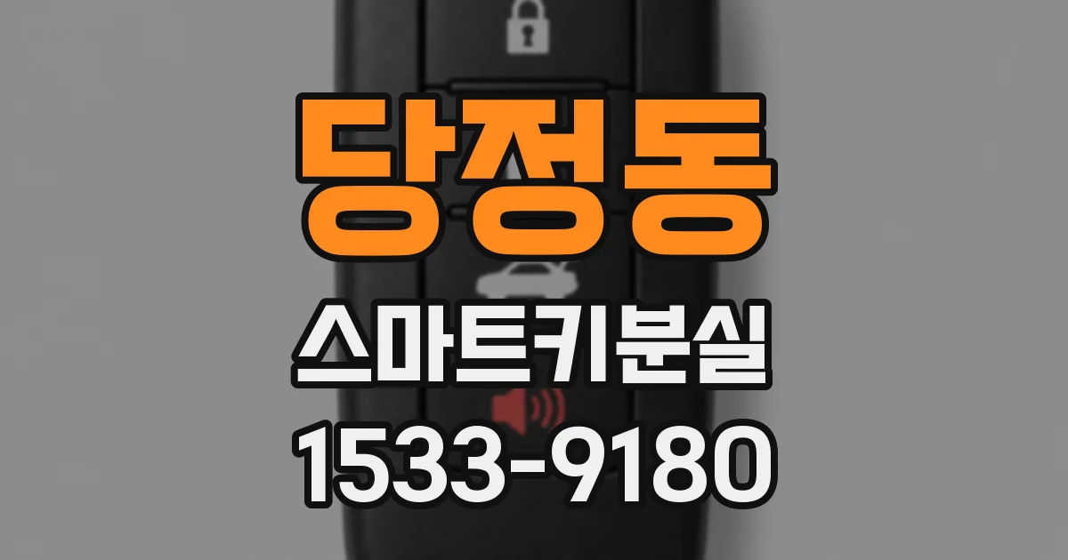 당정동 스마트키분실