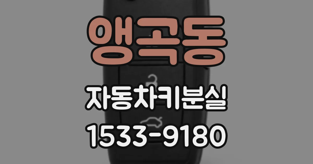 앵곡동 자동차키분실