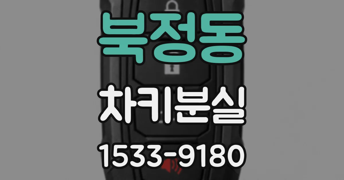 북정동 차키분실
