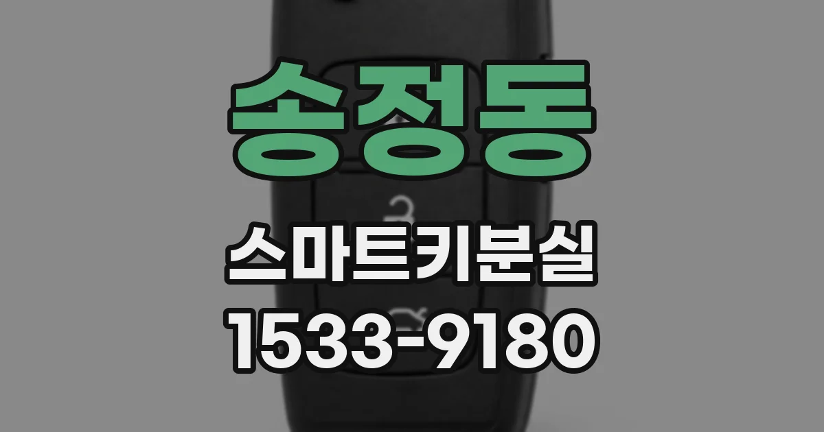 송정동 스마트키분실