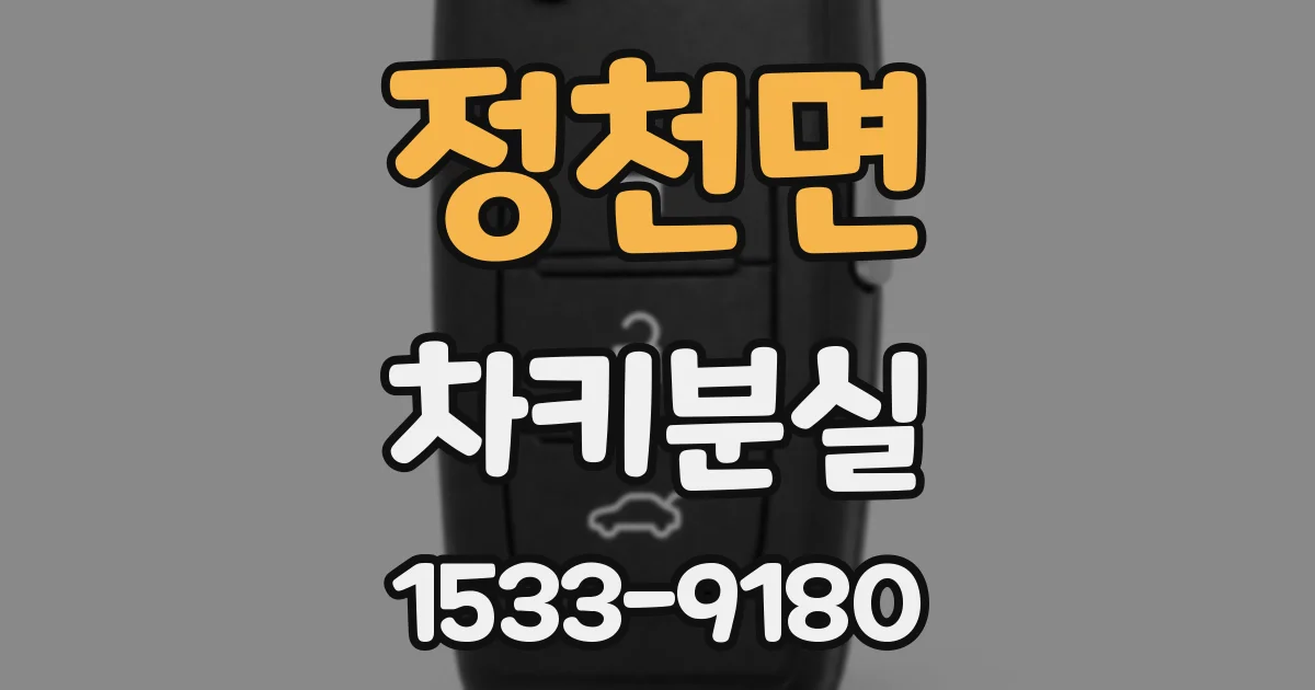 정천면 차키분실