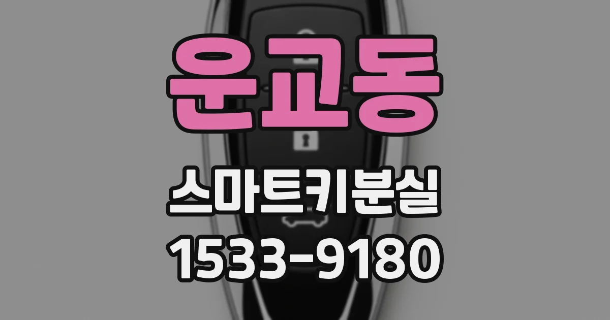 운교동 스마트키분실
