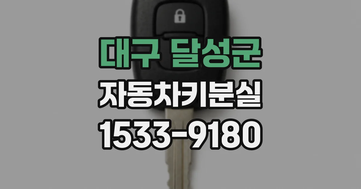 대구 달성군 자동차키분실