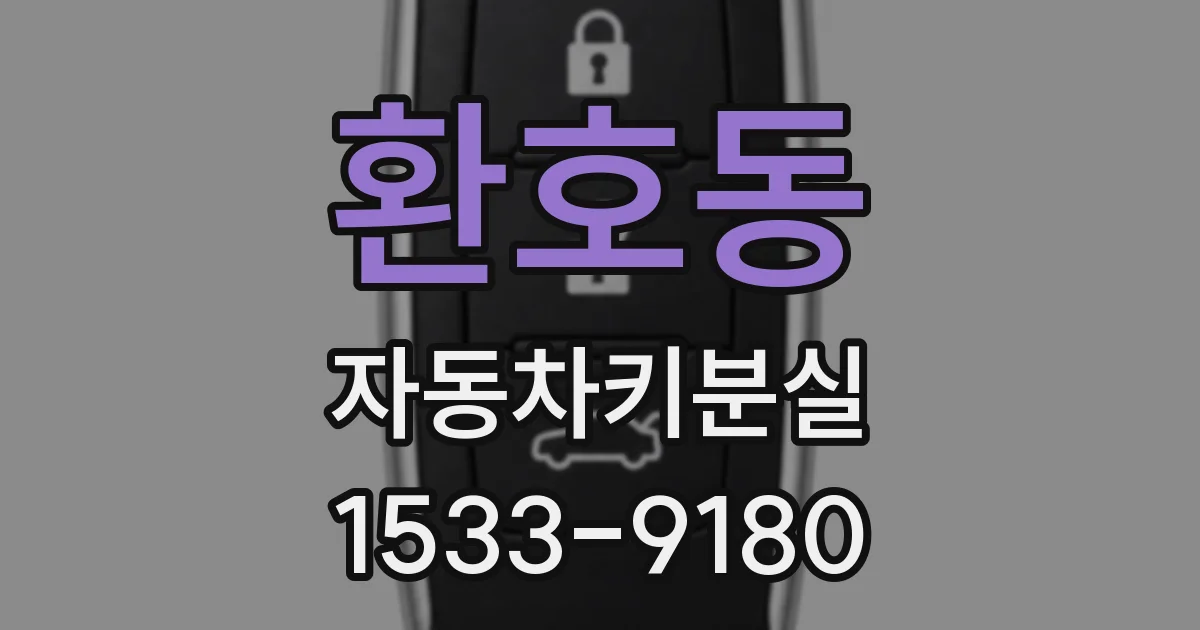 환호동 자동차키분실