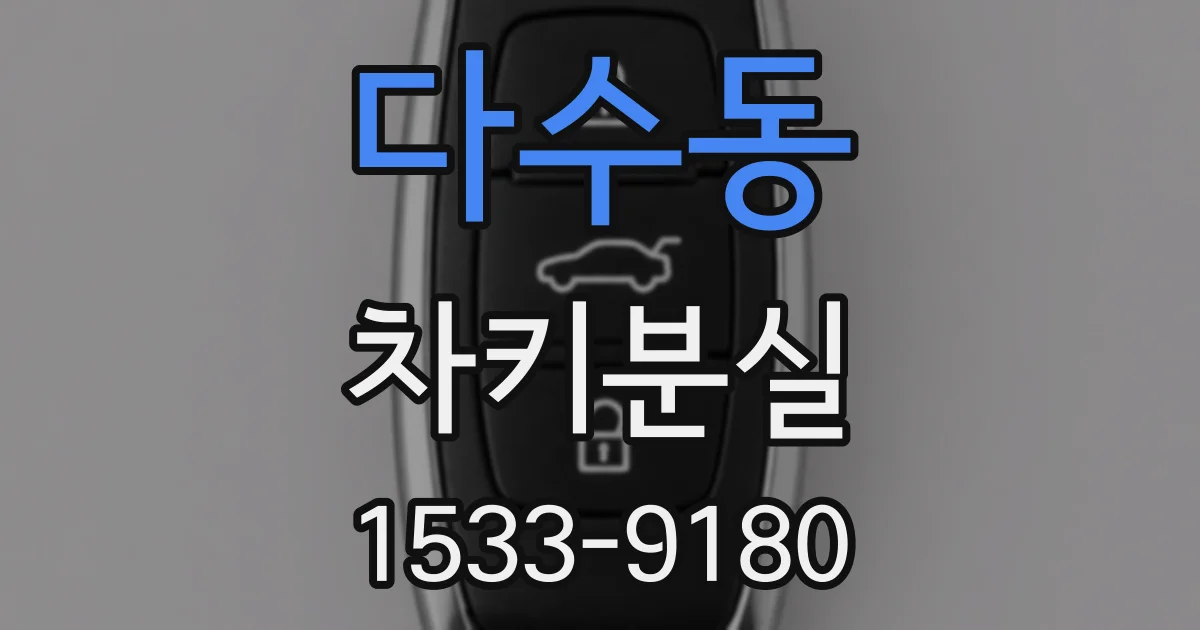 다수동 차키분실