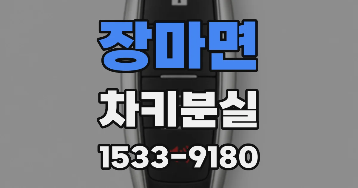 장마면 차키분실