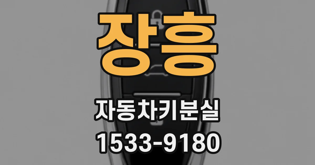 장흥 자동차키분실