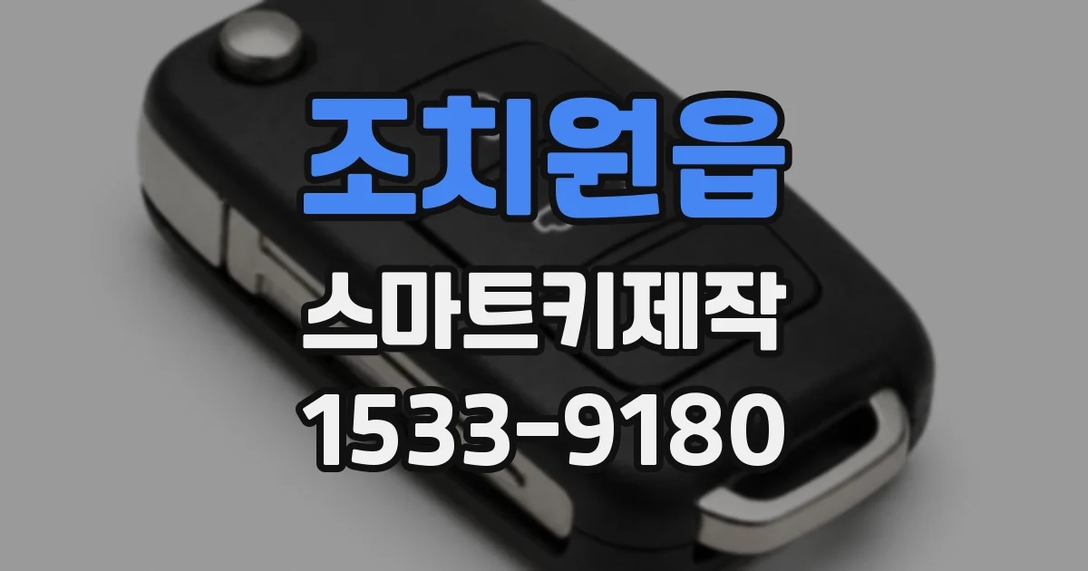 조치원읍 스마트키제작
