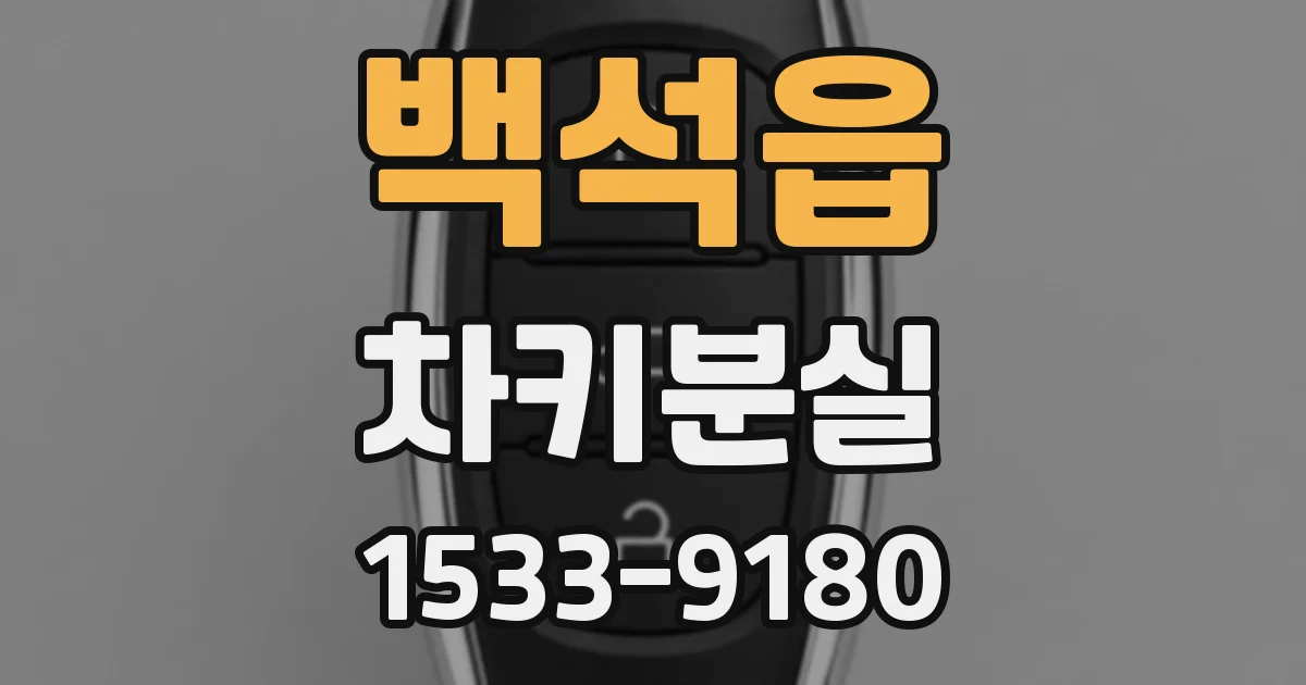 백석읍 차키분실
