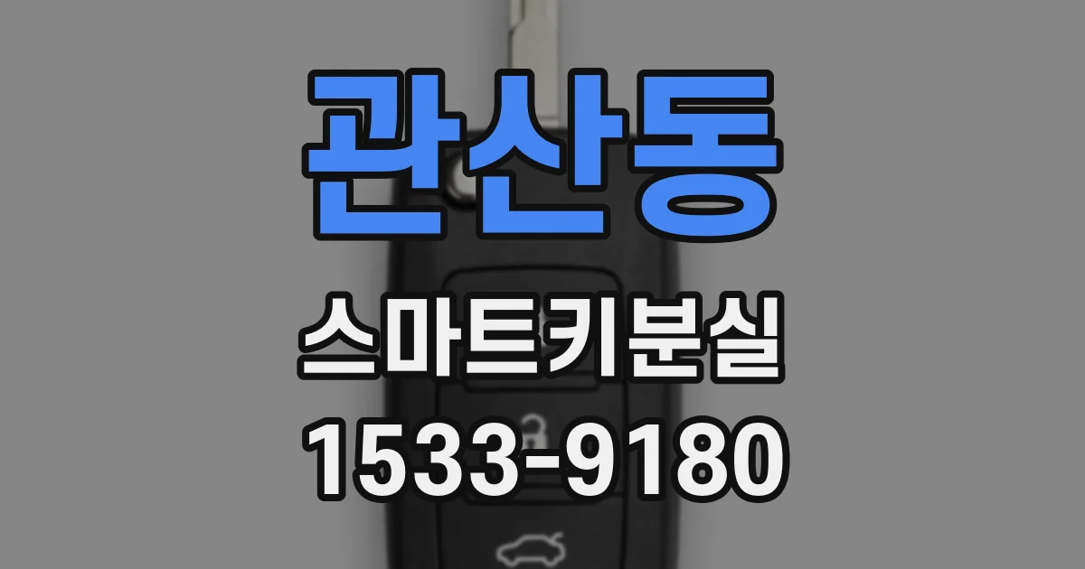 관산동 스마트키분실