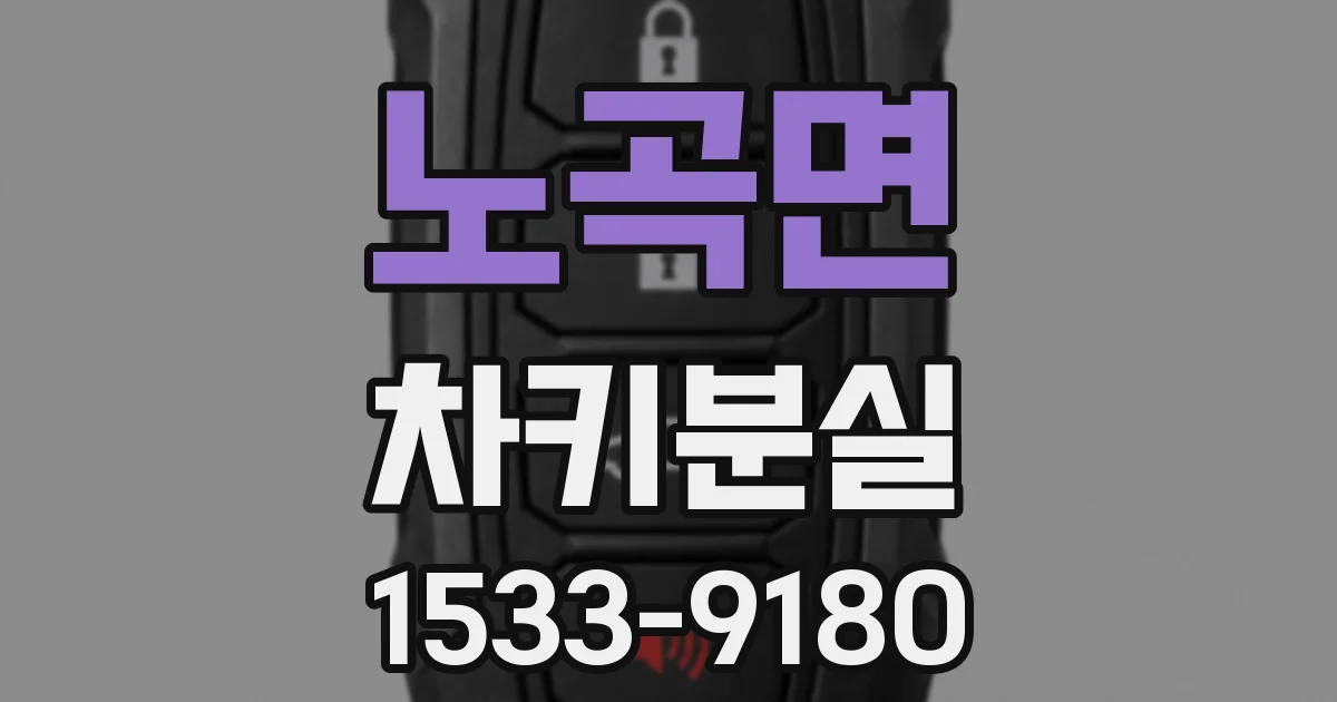 노곡면 차키분실