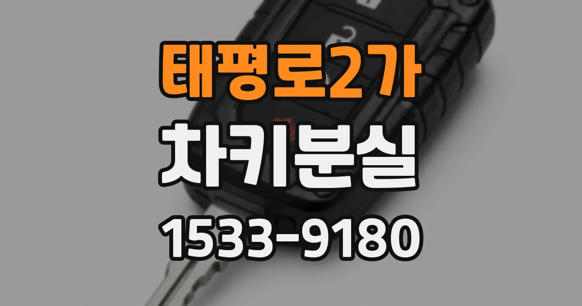 태평로2가 차키분실