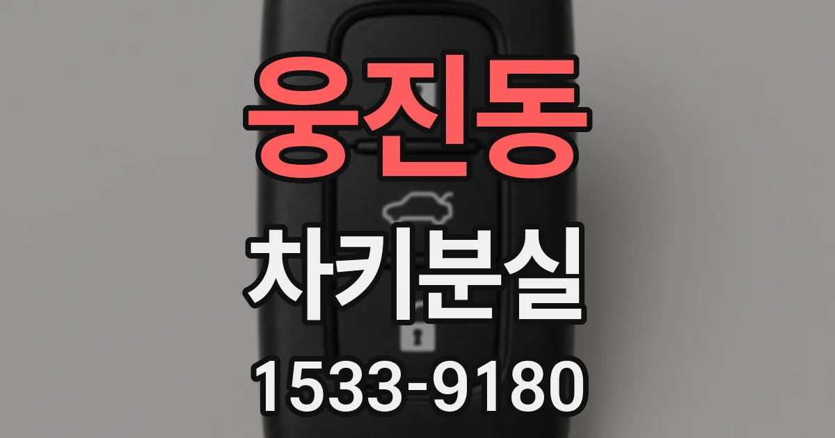 웅진동 차키분실