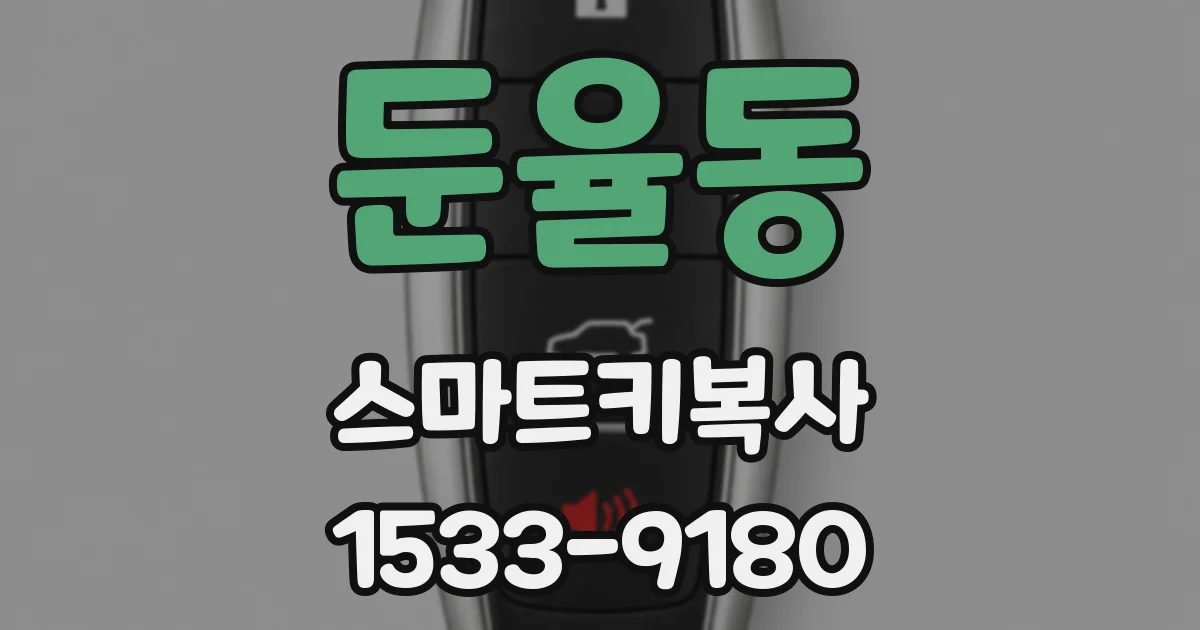 둔율동 스마트키복사