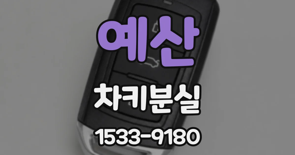 예산 차키분실