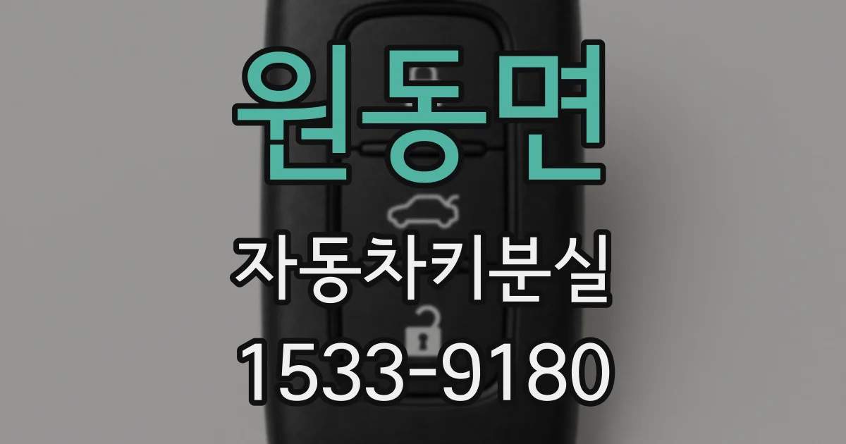 원동면 자동차키분실