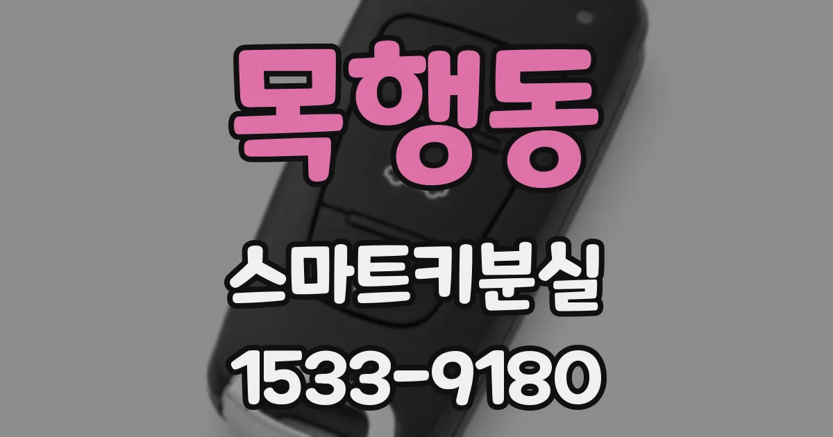 목행동 스마트키분실