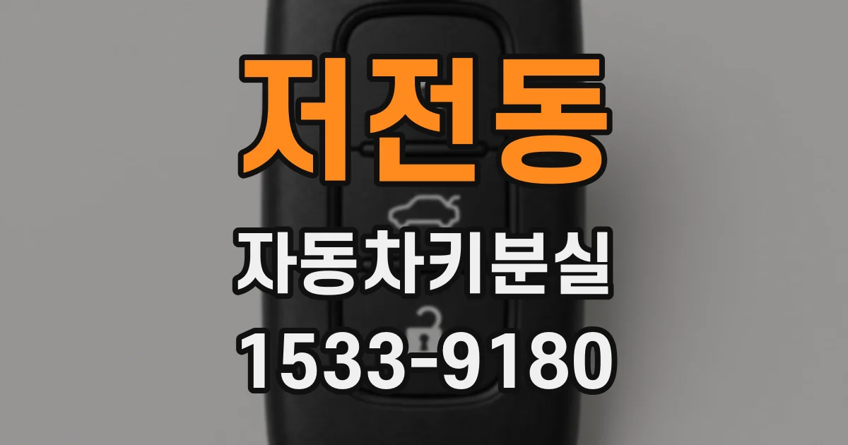 저전동 자동차키분실