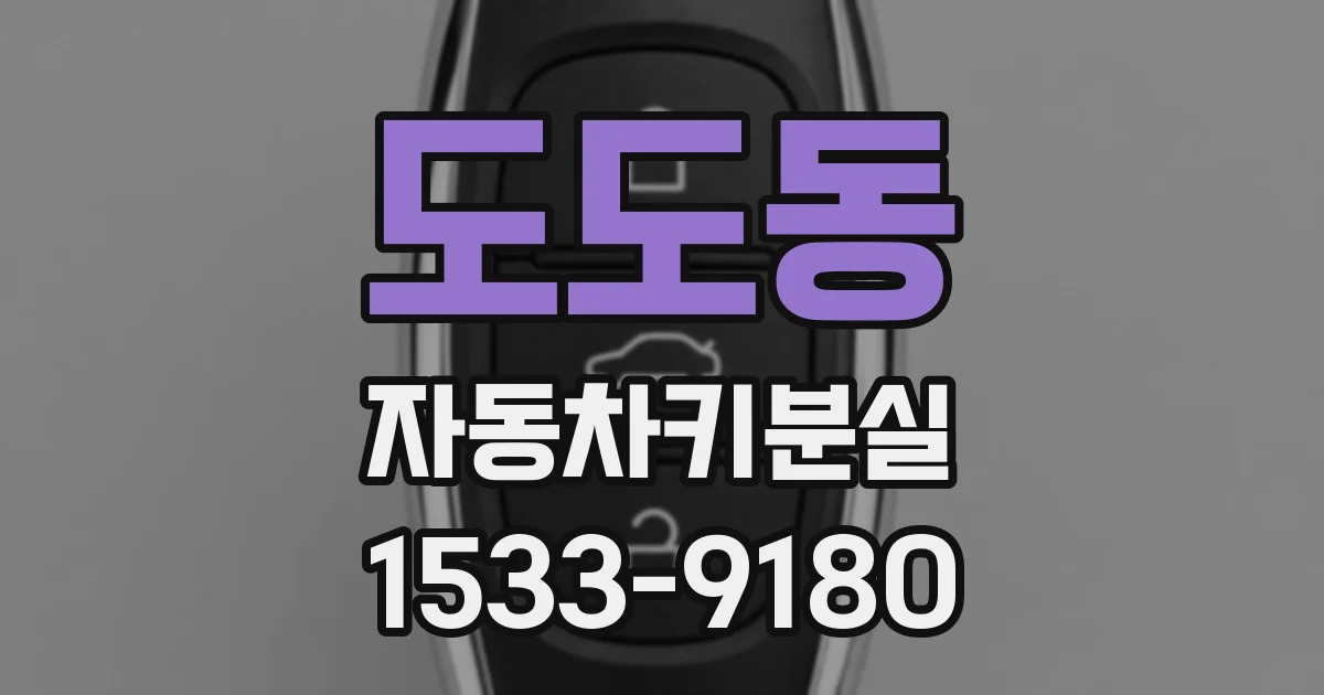 도도동 자동차키분실
