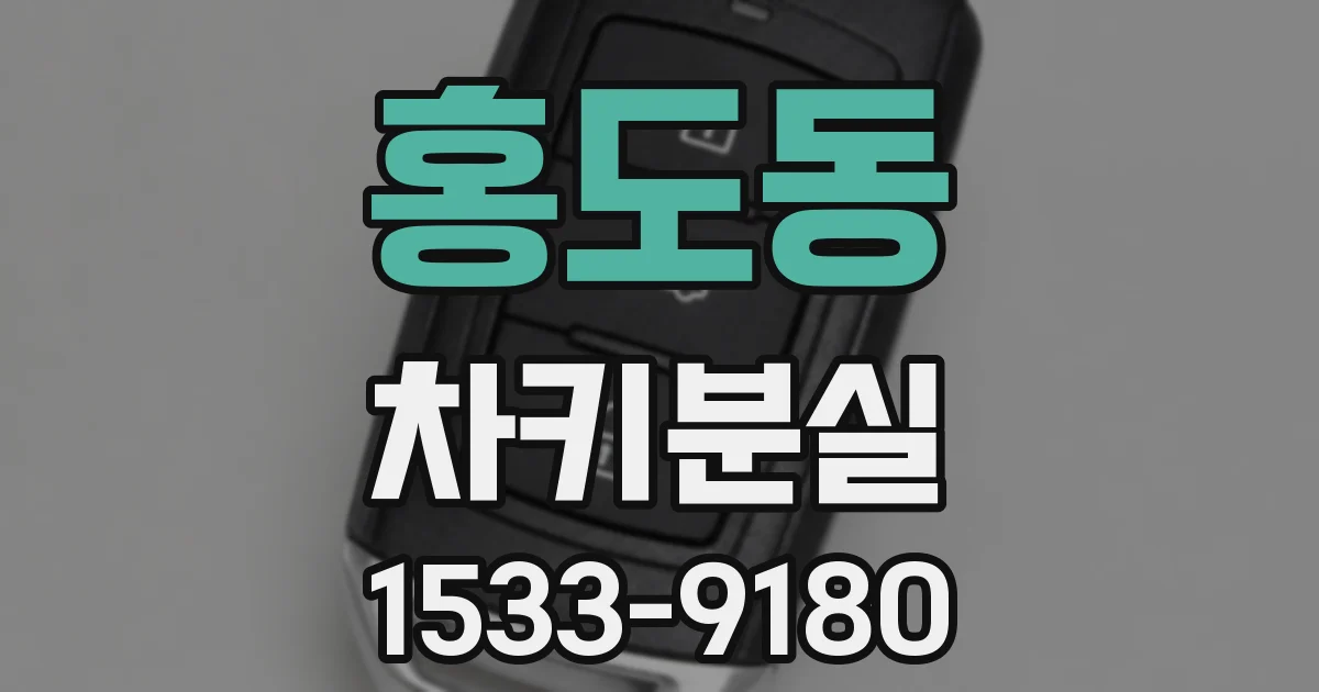 홍도동 차키분실