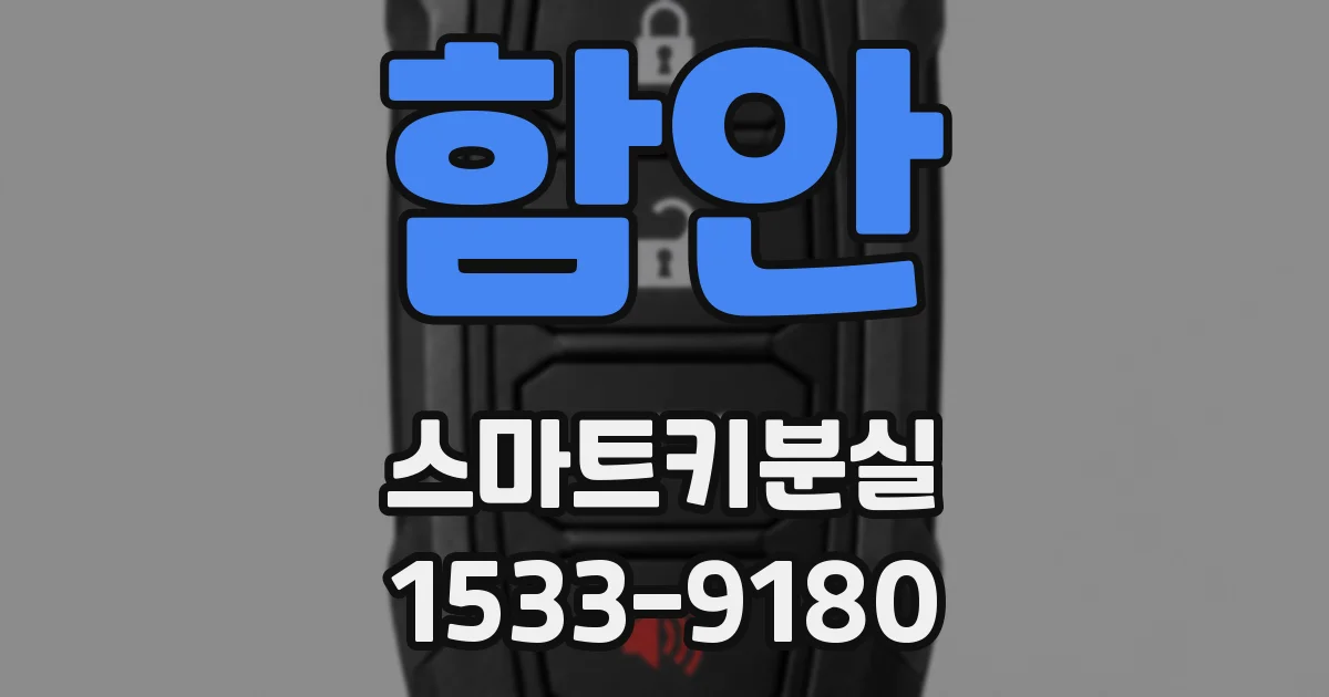 함안 스마트키분실