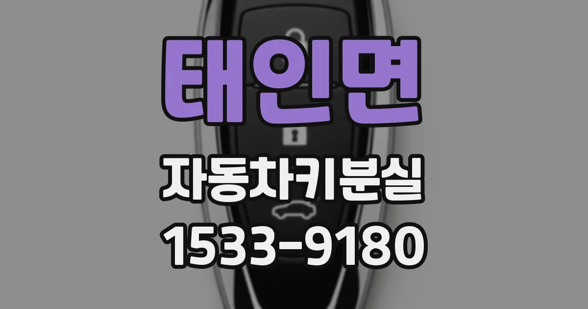 태인면 자동차키분실