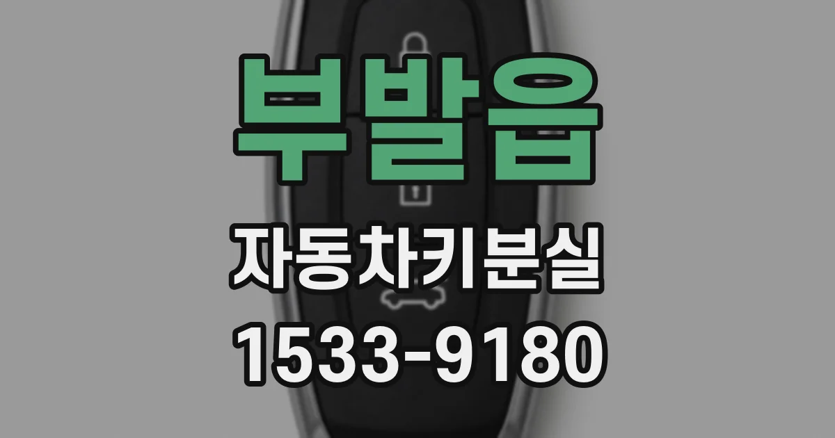 부발읍 자동차키분실