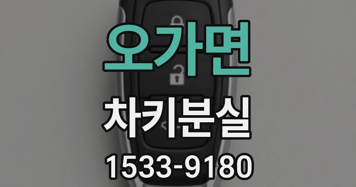 오가면 차키분실