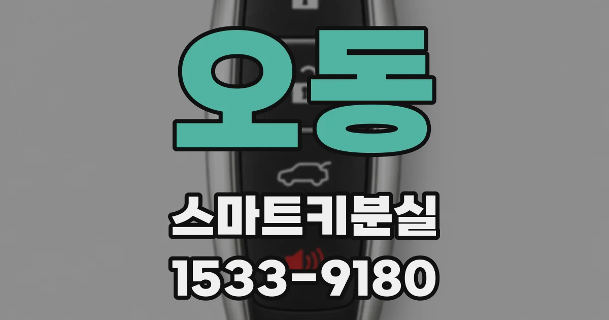 오동 스마트키분실