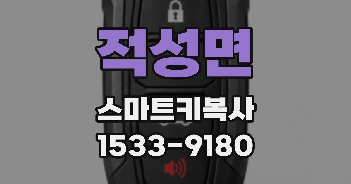 적성면 스마트키복사