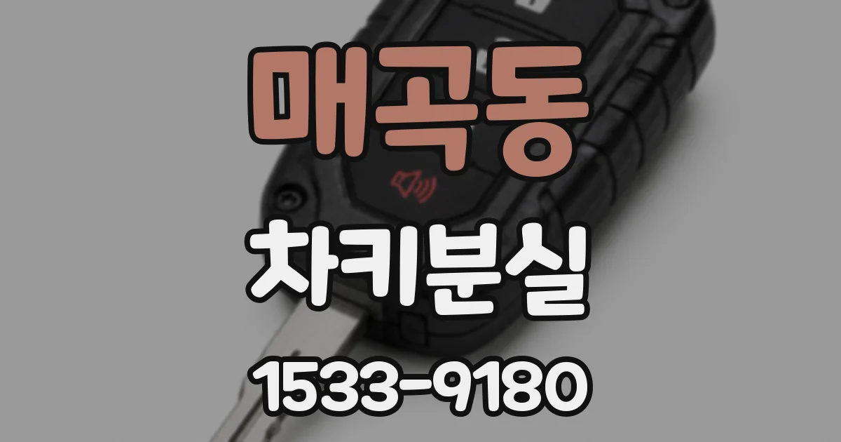 매곡동 차키분실