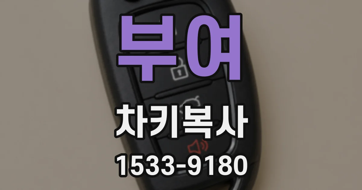 부여 차키복사