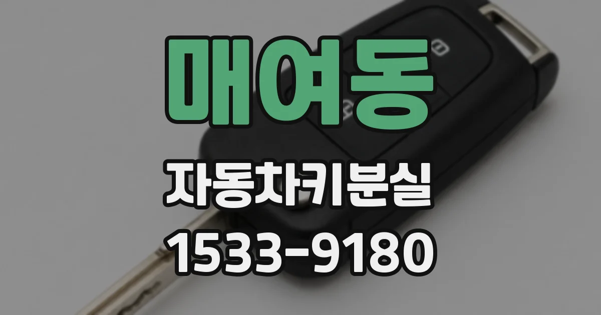 매여동 자동차키분실