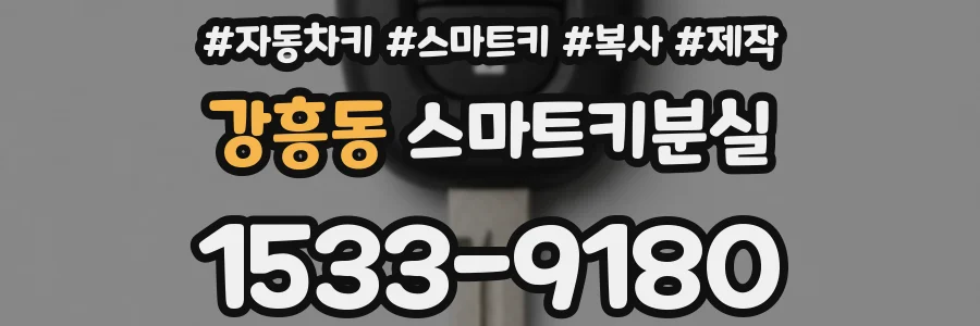 강흥동 스마트키분실
