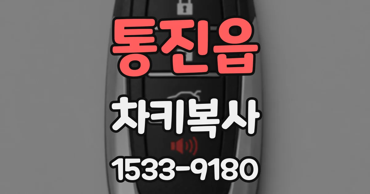 통진읍 차키복사